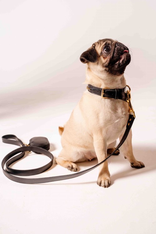 mops-z-czarna-smycza-ze-skory-naturalnej.jpg